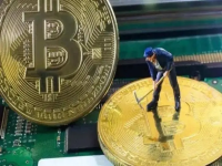 狗庄操控比特币市场的风险与防范